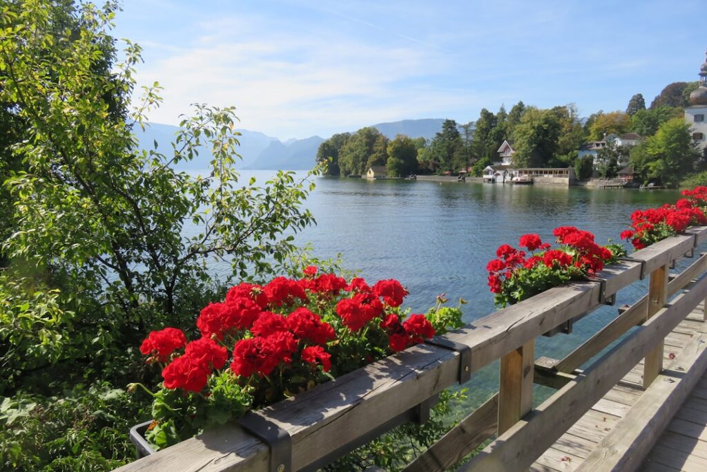 Balades botaniques plantes et fleurs Lac-de-garde travel tourism landmark