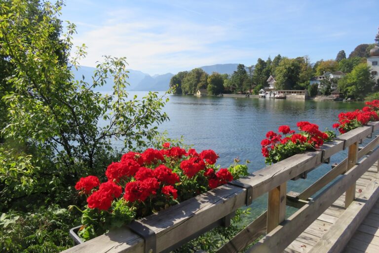Balades botaniques plantes et fleurs Lac-de-garde travel tourism landmark